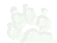 Tablet Screenshot of clementmazet.tetraconcept.com